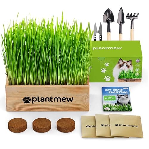 Cat Grass Kit for Indoor Cats - 3 Pack with Cat Grass Seeds, Nutrient Soil & Wooden Planter Pots | Complete Growing Set for Fresh Pet Grass (Non-GMO Wheat Grass) - Image 1