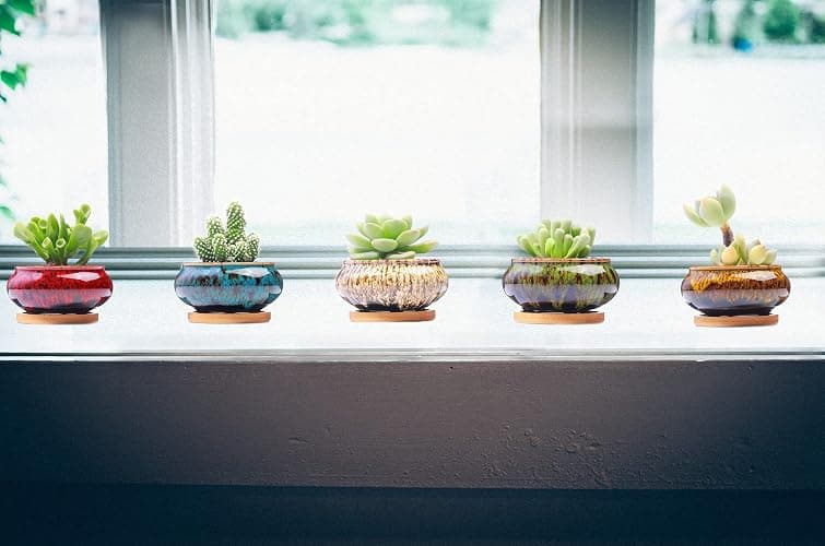 LamDawn Cute Ceramic Succulent Garden Pots, Planter with Drainage and Attached Saucer, Set of 5 -Plants Not Included (Burner) - Burner thumbnail 5
