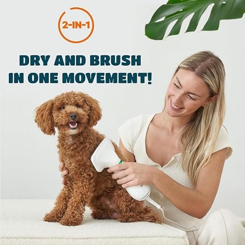2-in-1 Dog Dryer with Slicker Brush for Small Dogs and Cats, Pet Hair Dryer, Dog Blow Dryer for Grooming with 300 Watts, 75-85 dB, Adjustable Temperature, Overheat Protection thumbnail 2