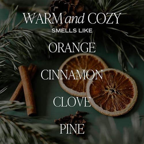 Sweet Water Decor Warm and Cozy Soy Candle - Orange Peel, Cinnamon, Ginger and Clove Scented Candles for Home - 9oz Amber Jar + Black Lid, 40+ Hour Burn Time, Made in The USA thumbnail 4