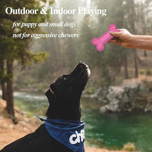 Ousiya 8 Pack Puppy Chew Toy Set Durable Dog Toys for Small Puppy Breeds Teething Toys for Puppies Non-Toxic and Safe Perfect for Training and Playtime thumbnail 5