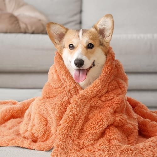 Hahafelt 12 Pcs Soft Fleece Puppy Blankets Pet Blanket for Small Dog Cat Kitten 23 x 16 Inches Washable Fluffy Flannel Blankets for Dogs Pet House Bed (Warm Colors) thumbnail 2