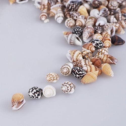 2000 PCS Tiny Mini Small Sea Shells for Crafting Spiral Conch Shells for Crafts Charms for Home Decorations Candle Decor DIY Fish Tank and Beach Vase Filler thumbnail 7