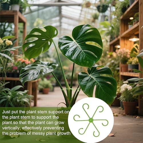 EMOOULI 16pcs Plant Support for Indoor Plants, Plant Stem Support, 4 Sizes Climbing Houseplant Stem Supports，Plant Support Rings, Leaf Holders, Indoor Plant Stakes Stabilizer Accessories  thumbnail 7