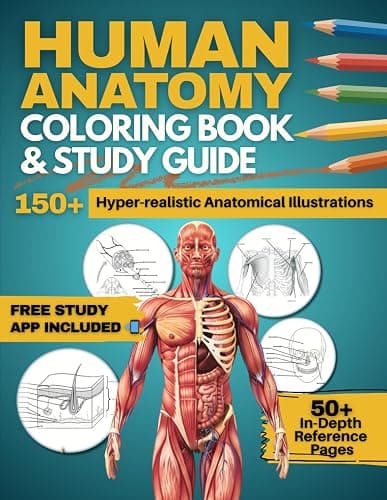 Human Anatomy Coloring Book and Study Guide: 150+ Hyper-Realistic Anatomical Illustrations, 50+ In-depth Anatomy and Physiology Study Guide Pages, and ... Medical, Nursing, and Healthcare Students. - Image 1