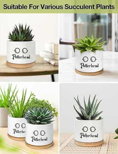 PWHINGN Funny Ceramic Succulent Planter Pots with Drainage Bamboo Tray, Office Windowsill Decor Indoor, Funny Plants Pots Desk Accessories for Plant Lovers Mom Friends Teacher (Not Plants) thumbnail 7