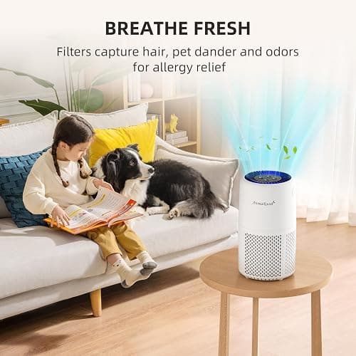AromaRoom Air Purifier for Home Bedroom, Sleep Mode, 3-in-1 Filter, AP103 | For Smoke Pollen Dander Hair Smell Air Cleaner, H13 HEPA Air Filter, Quiet Air Cleaner For Pets, Home, Baby Room thumbnail 8