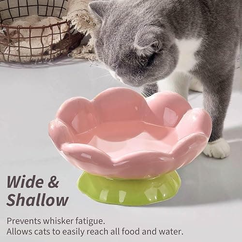 EubooTree Ceramic Raised Cat Bowl, Shallow Wide, Anti-Vomiting and Whisker Fatigue, Non-Slip, Tilted Cute Flower Cat Food and Water Bowls for Indoor Cats or Small Dogs, Pink thumbnail 3