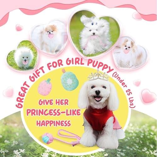 XIUGOAL Pink Puppy Toys for Boredom - 23 Pack Puppy Chew Toys for Teething, Interactive Dog Toys for Puppies, Cute Small Dog Toys with Treat Ball, Squeaky Dog Chew Toys and Ropes thumbnail 2
