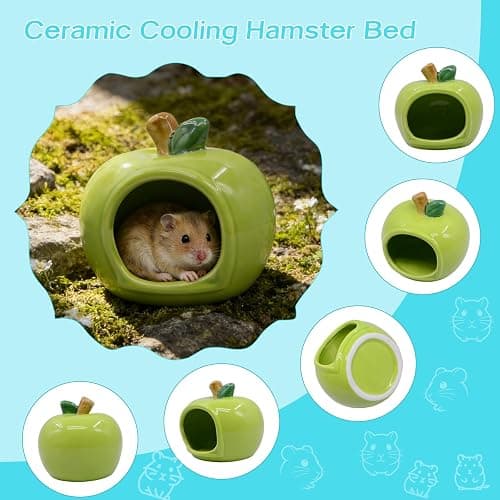 PENCK Cute Ceramic Hamster Hideout Habitats Syrian Dwarf Hamster Hide Hideaway House Cozy Bed Mini Chinchilla Gerbils Mice Hut Small Animals Sand Bath Cave Cage Accessories (Green) thumbnail 5