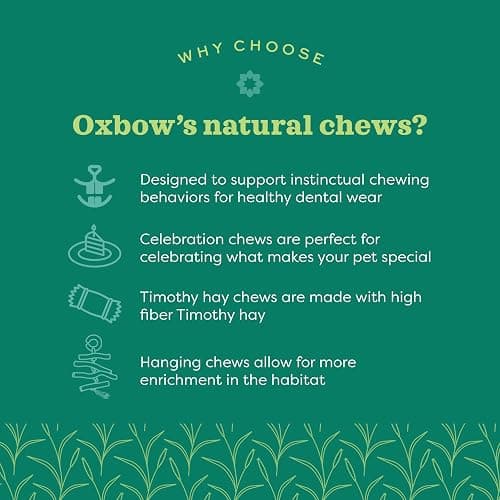 Oxbow Enriched Life Timothy Popsicle, Rabbit Toys, Guinea Pig Toys, Enrichment for Bunny, Guinea Pig, Hamster Stuff, Rabbit, Chinchilla, Made with Timothy Hay, Chinchilla Cage Accessories thumbnail 5