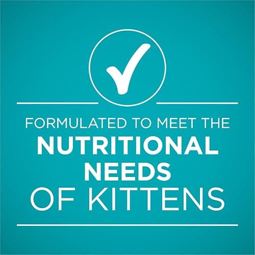 Purina ONE Grain Free, Natural Pate Wet Kitten Food, Healthy Kitten Chicken & Salmon Recipe - (Pack of 24) 3 oz. Pull-Top Cans thumbnail 6