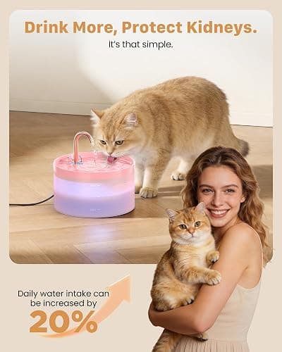 Cat Water Fountain Pink for Drinking: 67oz/2L Cat Fountain | GIOTOHUN Cute Pet Water Fountain for Cats Inside - Quiet Pet Fountain - Faucet Cat Drinking Fountain - Suitable for Kitty thumbnail 4