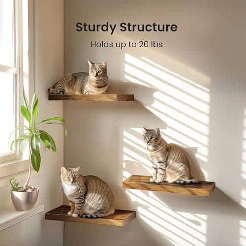 AMADA HOMEFURNISHING Floating Shelves, Wall Shelves for Bathroom/Living Room/Bedroom/Kitchen Decor, Decor Shelf with Invisible Brackets Set of 3, Rustic Brown - AMFS07V thumbnail 3