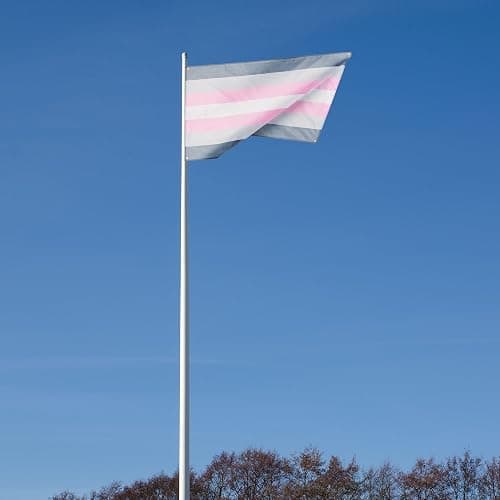 Runesol Demigirl Pride Flagge, 91x152 cm, 4 Ösen, eine in jeder Ecke, Gay Pride Flagge, LGBT+ Flagge, Pride Fahne, Premium-Fahnen für drinnen und draußen, lebendige Farben, Festival Parade Feier thumbnail 5