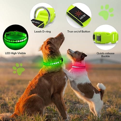 Flashseen Light Up Dog Collars, Adjustable LED Dog Collar Rechargeable, Glow in The Dark Dog Collars Super Bright Glow Collars for Night Walking for Dogs (Green, Large) thumbnail 3
