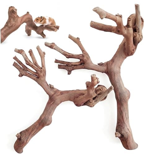 NASSMOSSE 2 Pcs Hamster Toys, Natural Grapevine Climbing Branches Hamster Enrichment Toys, Small Animal Cage Decor & Rat Exploration - Image 1