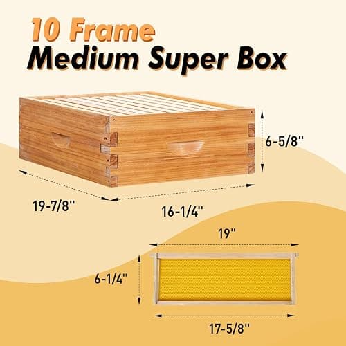 BeeCastle 10 Frame Langstroth Bee Hive Coated with Beeswax Includes Beehive Frames and Waxed Foundations (2 Deep Boxes & 1 Medium Box) thumbnail 5