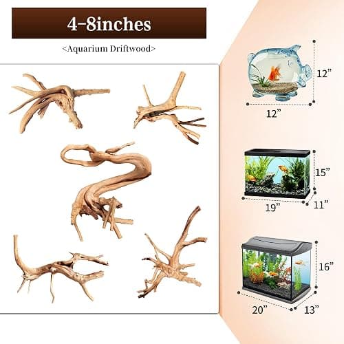 majoywoo Natural Driftwood for Aquarium Decor Fish Tank Decorations, Assorted Spider Wood Branch 4-8" 5 Pcs, Reptile Decor thumbnail 2