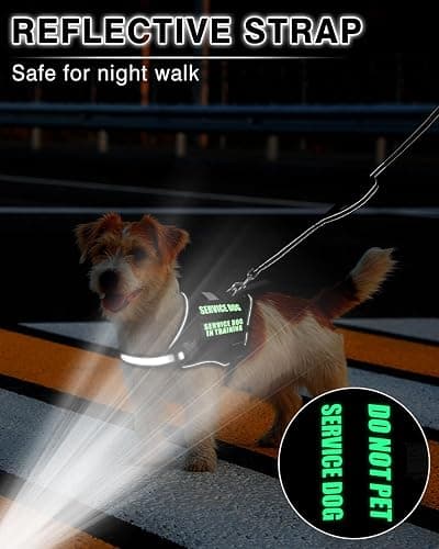 MOOGROU Service Dog Vest Harness and Leash Set+10 Patches for Puppy Small Dogs,Do Not Pet Emotional Support Dog Vest with 2 Soft Padded Handle for Everyday/Training (Black XS) | Adjustable Reflective Do Not Pet Emotional Support Dog Vest with 2 Soft Padded Handle,MOLLE,for Everyday Training Hiking thumbnail 5