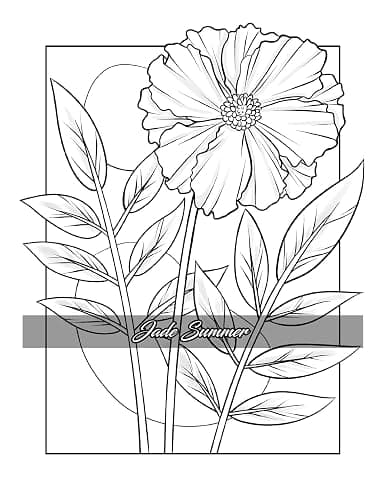 Minimalist Art: Adult Coloring Book for Women and Teens with Easy Boho Designs for Stress Relief and Relaxation (Easy Coloring Books) thumbnail 15