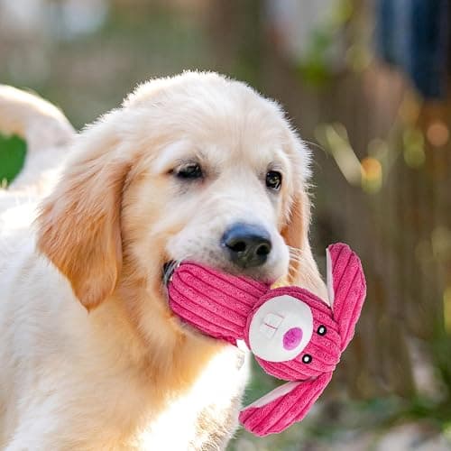 MRSOHRET 5 Pack Squeaky Dog Toys, Tough Stuffed Plush Puppy Tough Chew Toys, Durable Plush Animal Dog Toy for Large Small Medium Dogs to Keep Them Busy thumbnail 7