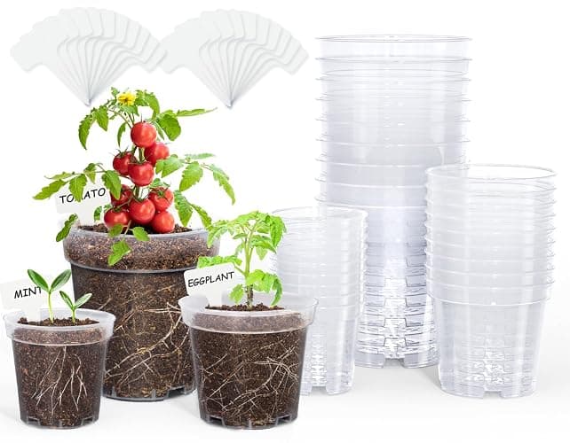 homenote Clear Nursery Pots for Plant,3/4/5 Inch Plant Pot for Planting Plastic Seedling with Drainage Holes Seed Starter Flower High Transparency 20 Labels Excellent Hardness(30 Pack) thumbnail 9