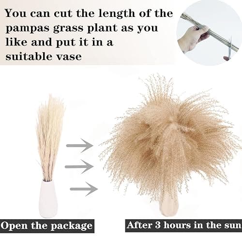Dried Pampas Grass Decor, 100 Stems Pampas Grass Contains Bunny Tails Dried Flowers, Reed Grass Bouquet for Wedding Boho Flowers Home Table Decor, Rustic Farmhouse Party (17", White and Brown) thumbnail 6