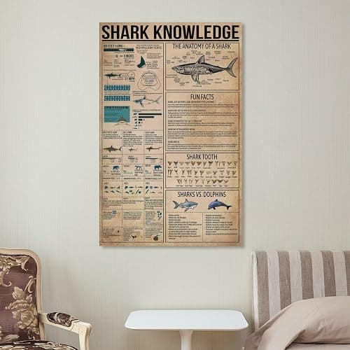 JPOSTHCZ Shark Knowledge Poster with Anatomy of Sharks Educational Canvas Wall Art Aesthetic Decorative Painting Living Roomstyle 12x18inch(30x45cm) thumbnail 7