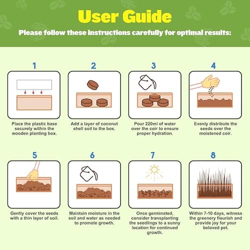 Cat Grass Kit for Indoor Cats - 3 Pack with Cat Grass Seeds, Nutrient Soil & Wooden Planter Pots | Complete Growing Set for Fresh Pet Grass (Non-GMO Wheat Grass) thumbnail 6