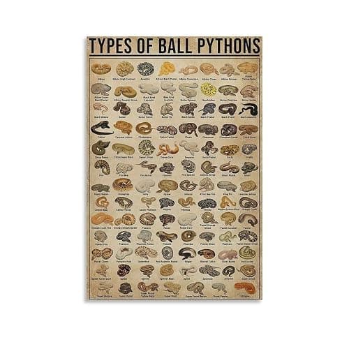 AMZPOSTERLN Vintage Snake Breeds Poster Knowledge Canvas Art Aesthetic And Wall Art Picture Decor Poster12x18inch(30x45cm) - Image 1