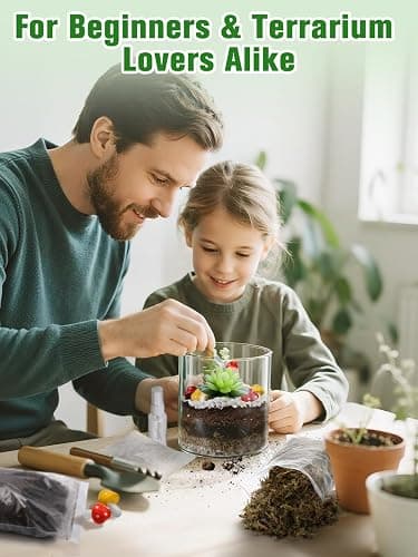 Terrarium Kit Adults - Includes Pumice, Moss, Soil, Pebbles, Charcoal, 2 Tools, Mushroom Ornaments for Succulent Cactus, Christmas Terrarium Accessories Decor Gifts for Starter Women thumbnail 6