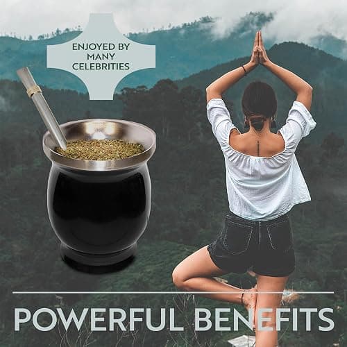 Norte Yerba Mate Cup Kit, 8-Ounces Traditional Mate Tea Cup/Gourd Set | Includes 2 Bombillas (Yerba Mate Straw) & Cleaning Brush, Stainless Steel Cup, Double-Walled, Easy to Clean | Black thumbnail 6