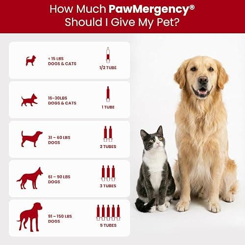 Vetanica PawMergency – Activated Charcoal First Aid Kit Emergency Rescue 2 Pack for Dogs, Cats, Puppy & Pet Poison Kit, Camping Survival Remedy Essential, Oral Anti Diarrhea Digestive Absorb Toxins thumbnail 3