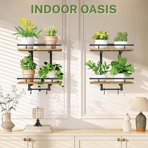 iDavosic.ly Wall Plant Holder Set of 2, 2 Tier Indoor Floating Shelves with 4 Hooks for Hanging Plants, Wall Mounted Space Saving Display Stand for Living Room Bedroom (Pots/Chains Not Included) thumbnail 7