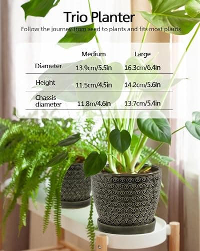 Plant Pots, Flower Pots, Planters for Indoor Plants(6.5+5.5inch), Flower Pots for Indoor Plant with Drainage Hole and Saucer, Ceramic Pots for Plants with Hole Mesh Pad,Reactive Glaze Green thumbnail 3