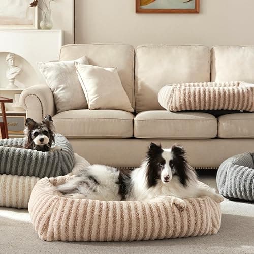 MIXJOY Dog Bed Medium Size Dog, Washable Medium Dogs Bed with Removable Cover, Soft Rectangle Doggy Ded Fluffy Plush Faux Fur Pet Bed with Anti-Slip Bottom, 30"x24"x8", Beige thumbnail 8