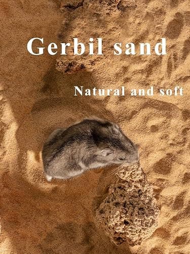 JFWOD Hamster Bath Sand, 3lb Dust Free Desert Sand or Potty Litter Sand for Hamster Chinchillas Gerbil Syrian Mice Small Animals(Beige) thumbnail 7