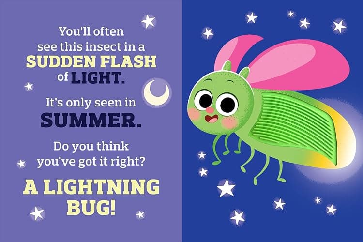 Backyard Bugs - Touch and Feel Board Book - Sensory Board Book (Touch & Feel Sensory Board Books for Baby & Toddler Time) thumbnail 6