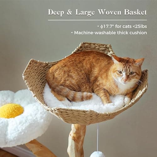 PAWZ Road Cat Tree for Indoor Cats Large Adults, 59 Inches Modern Cat Tower with Large Basket and Hammock, Natural Solid Wood, Luxury Condo & Dual Perches, Modern Cat Furniture for Big Cats, White thumbnail 6
