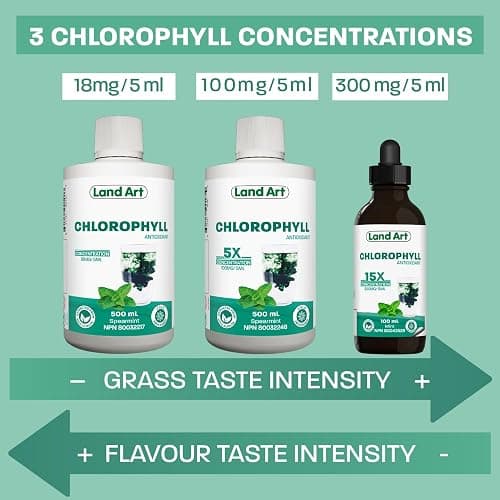 Liquid Chlorophyll Drops Mint 15X Concentrated 100ml - Detox - Alkaline - Natural Body Deodorant - Antioxidant - Cold Extracted from Non-GMO Alfalfa - Made in Canada thumbnail 3