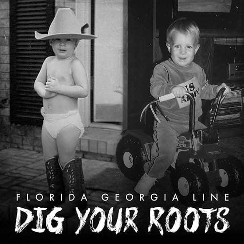 Dig Your Roots - Image 1