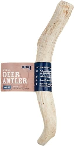 Amazon Brand - Wag Dog Deer Antler Chew, Naturally Shed, Whole, Large 8-9.5 inches, Long Lasting for Aggressive Chewers, Best for Dogs 30-45 lbs, 3.20 Ounce (Pack of 1) - Image 1