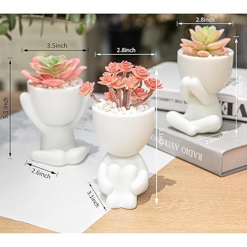 HEYO-YEPY 3PCS Cute Artificial Plant Office Decor for Women and Men, Aesthetic Desk Plant Decor for Office and Home, Potted Small Fake Plants for Indoor Decoration, White Pots Pink Plants thumbnail 3