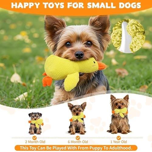 VOXGET Calming Duck Toy for Dogs, 2026 New Interactive Crinkle Toy with Quack Sound for Dogs Teeth, Soft Stuffed Plush Mellow Calming Duck Pillow for Puppy Keep Busy -Yellow, 9.8"x8.6"(S) thumbnail 6