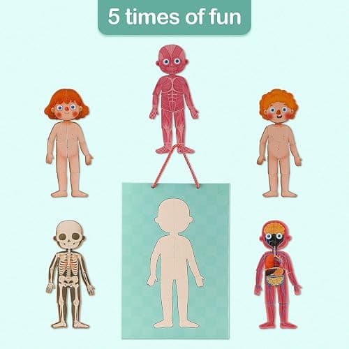 Human Body Puzzle for Kids Toddlers 90PCS Magnetic Boy Girl Anatomy Play Set Body Parts Organs Muscles Skeleton and Bones Wooden Puzzle Toys Aged 3+ Educational Learning Preschool Toys thumbnail 9