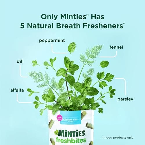 Minties FreshBites Soft and Chewy Dental Treats for Dogs, Low Calorie Natural Mint Flavored Dental Chews for Dogs, 50 Count, Chews Clean Teeth, Fight Bad Breath, and Removes Plaque and Tartar thumbnail 5