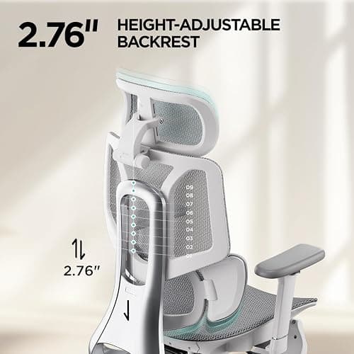 Hbada - H3 Ergonomic Desk Chair thumbnail 9