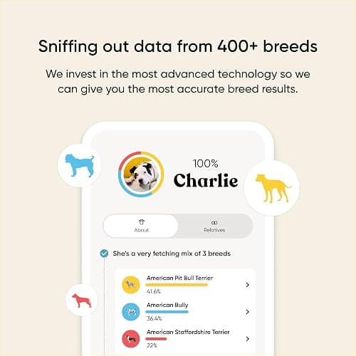 Embark Breed & Health Kit - Dog DNA Testing Kit - Discover Breed, Ancestry, Relative Finder, Genetic Health, Traits, Allergy Risk Scores thumbnail 2