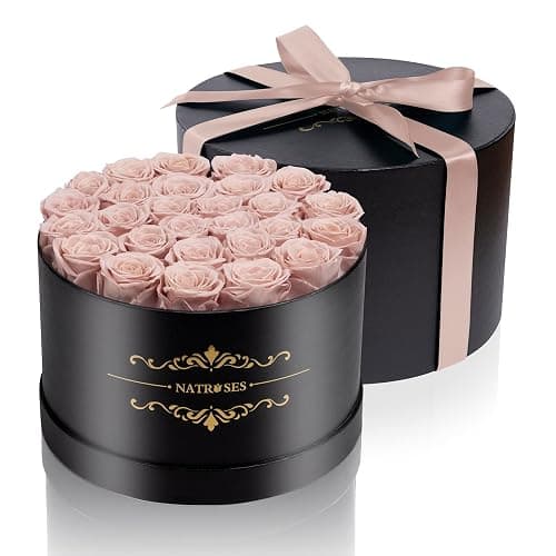 NATROSES 27 Piece Forever Preserved Roses in a Box, Preserved Flowers for Delivery Birthday, Flowers Gifts for Mothers Day, Dusty Pink thumbnail 4
